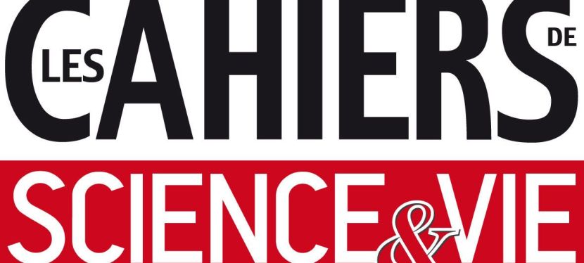 La traite négrière: aux sources du racisme&nbsp;occidental