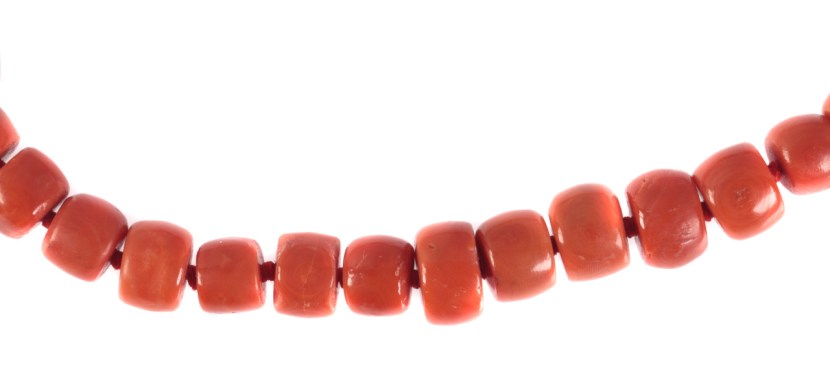 Von der Seidenstrasse abgekommen. Die mediterrane Koralle in&nbsp;Afrika